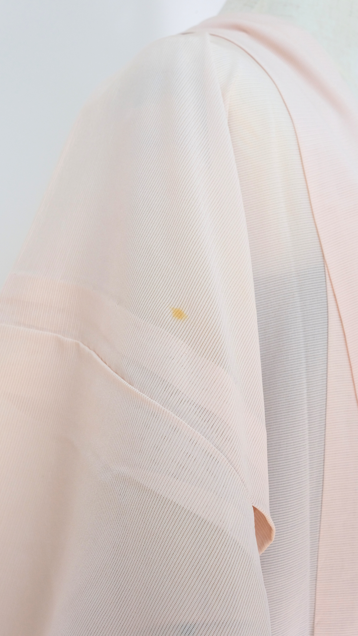Sheer Pink Kimono with Hand-Painted Floral Design