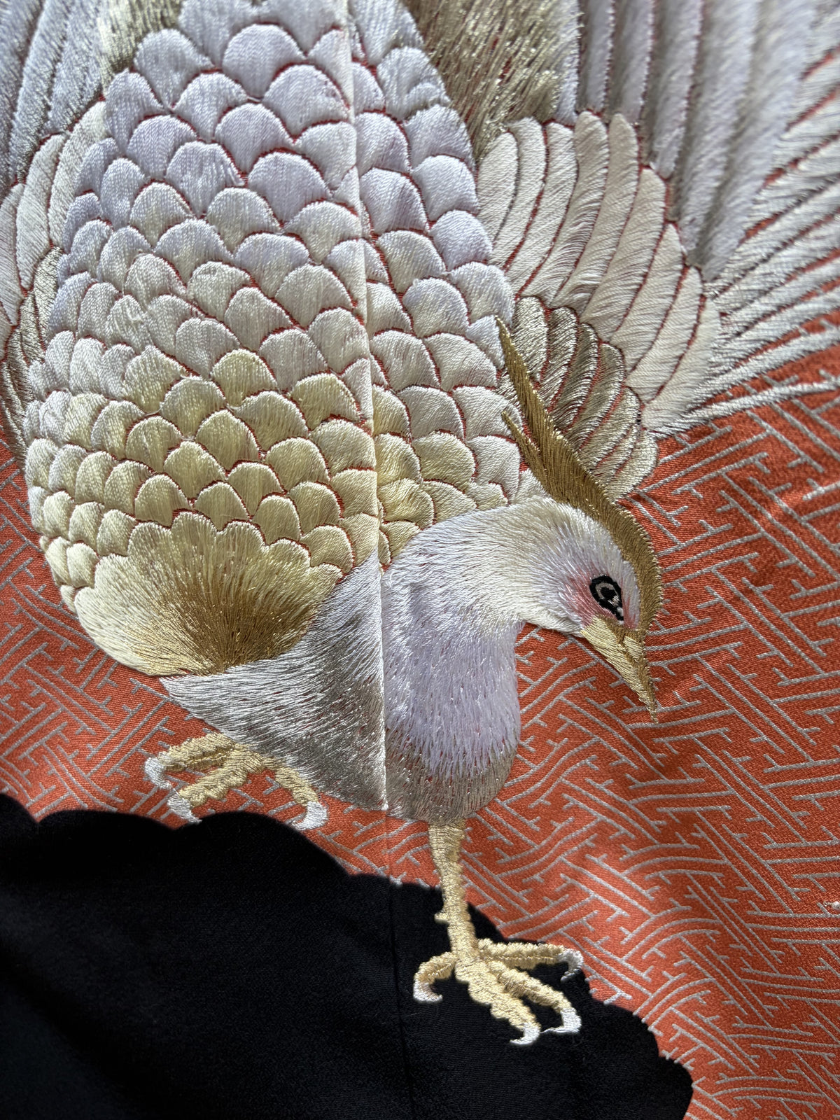 Close up of the pheasant head and coral ground