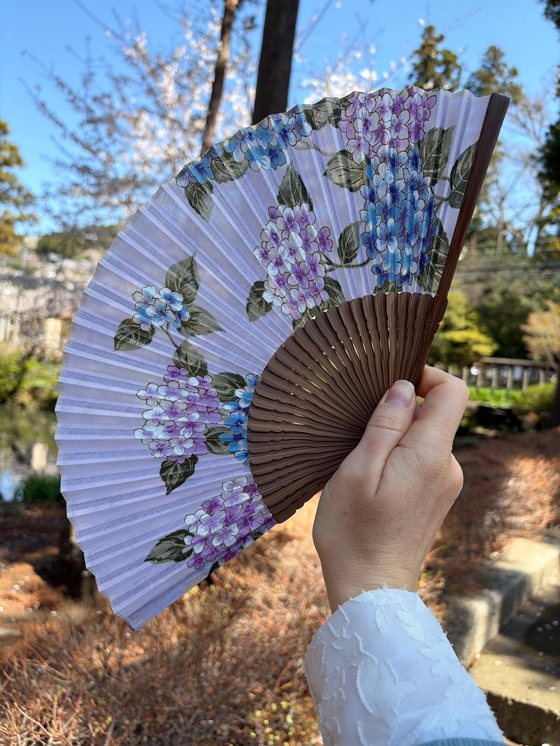 Vintage Japanese folding fan open, showing blue and purple hydrangea flowers on white